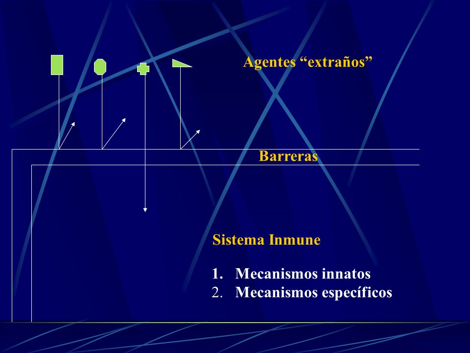 Agentes extraños Barreras Sistema Inmune Mecanismos innatos 2. Mecanismos específicos