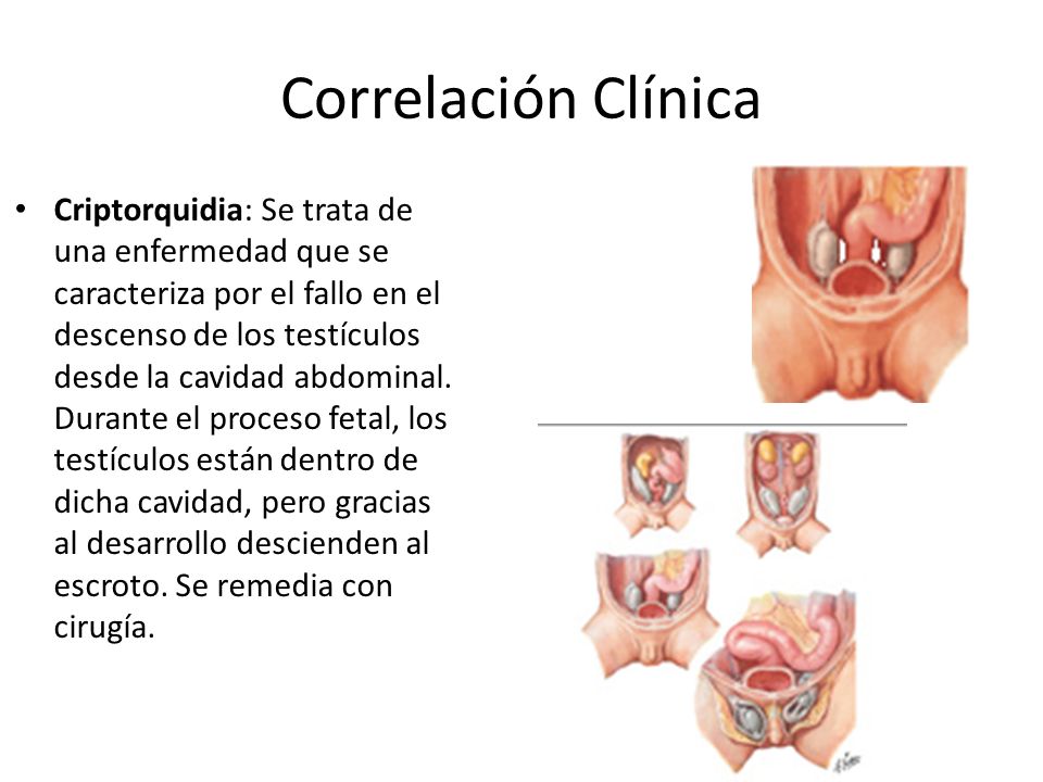 Correlación Clínica
