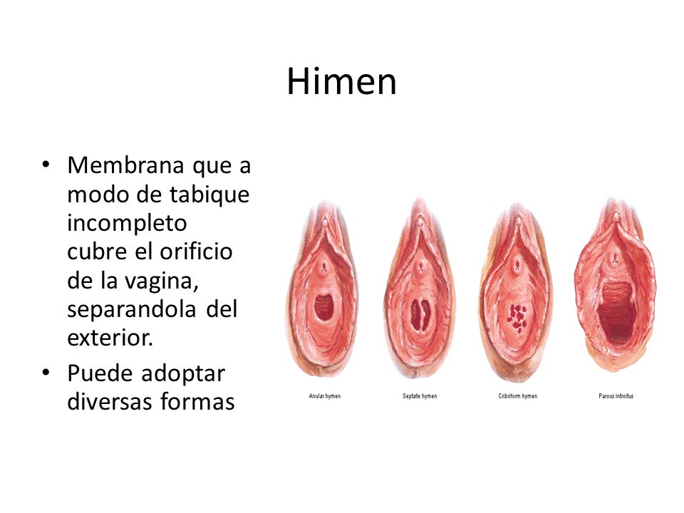 Himen Membrana que a modo de tabique incompleto cubre el orificio de la vagina, separandola del exterior.