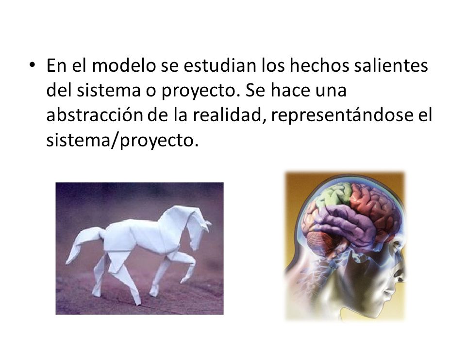 En el modelo se estudian los hechos salientes del sistema o proyecto