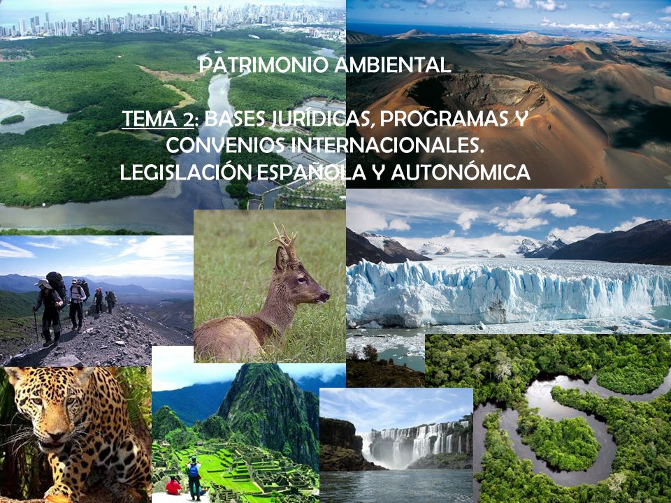 PATRIMONIO AMBIENTAL TEMA 2: BASES JURÍDICAS, PROGRAMAS Y CONVENIOS INTERNACIONALES.