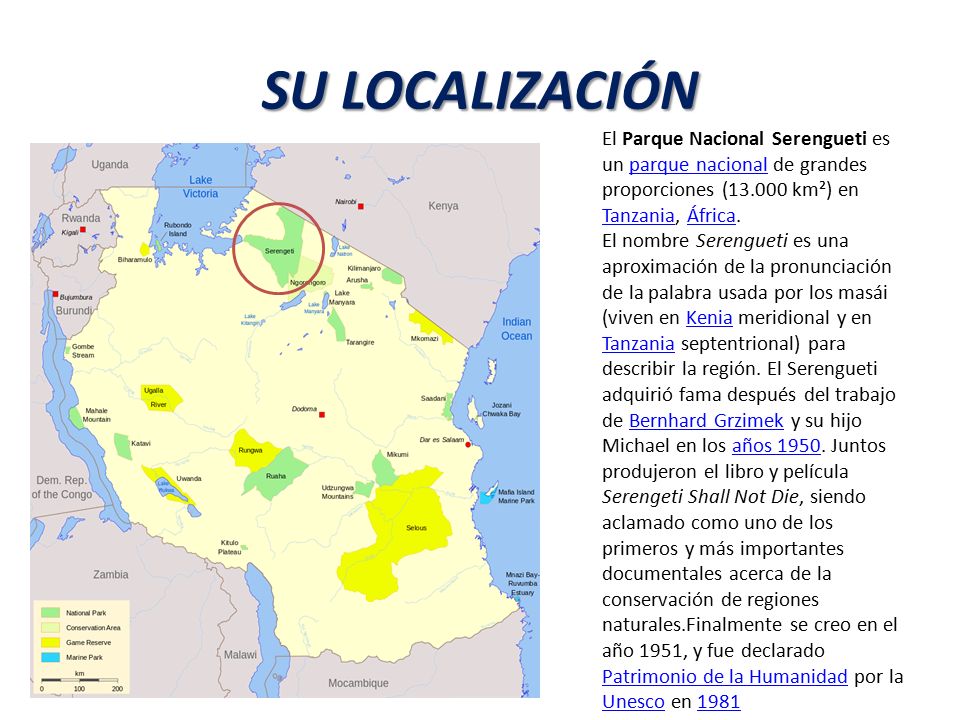 SU LOCALIZACIÓN El Parque Nacional Serengueti es un parque nacional de grandes proporciones ( km²) en Tanzania, África.