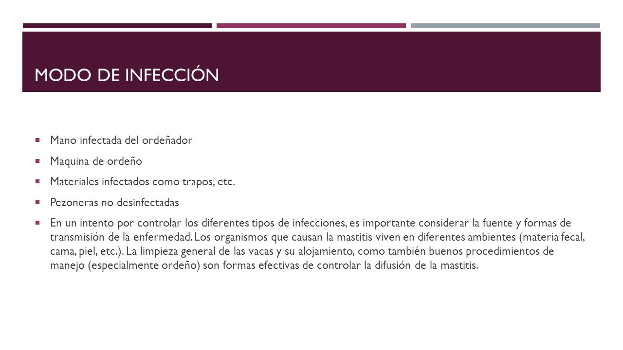 MODO DE INFECCIÓN Mano infectada del ordeñador Maquina de ordeño