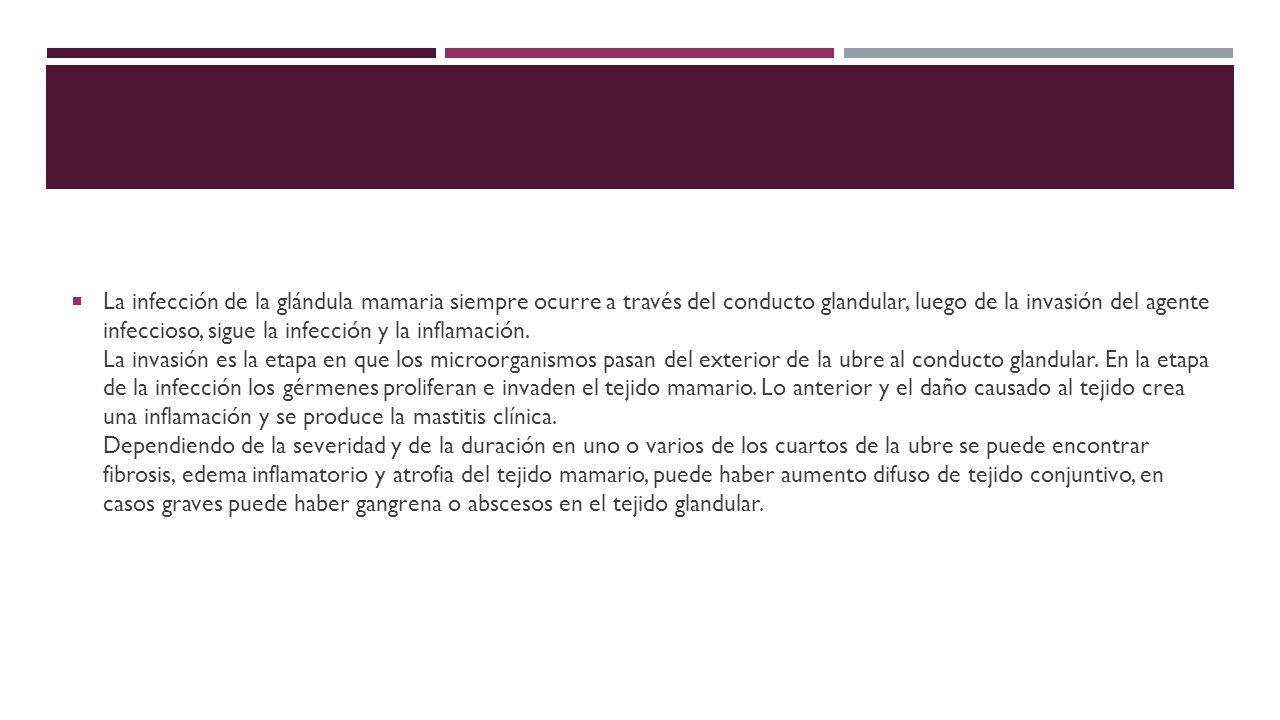 La infección de la glándula mamaria siempre ocurre a través del conducto glandular, luego de la invasión del agente infeccioso, sigue la infección y la inflamación.