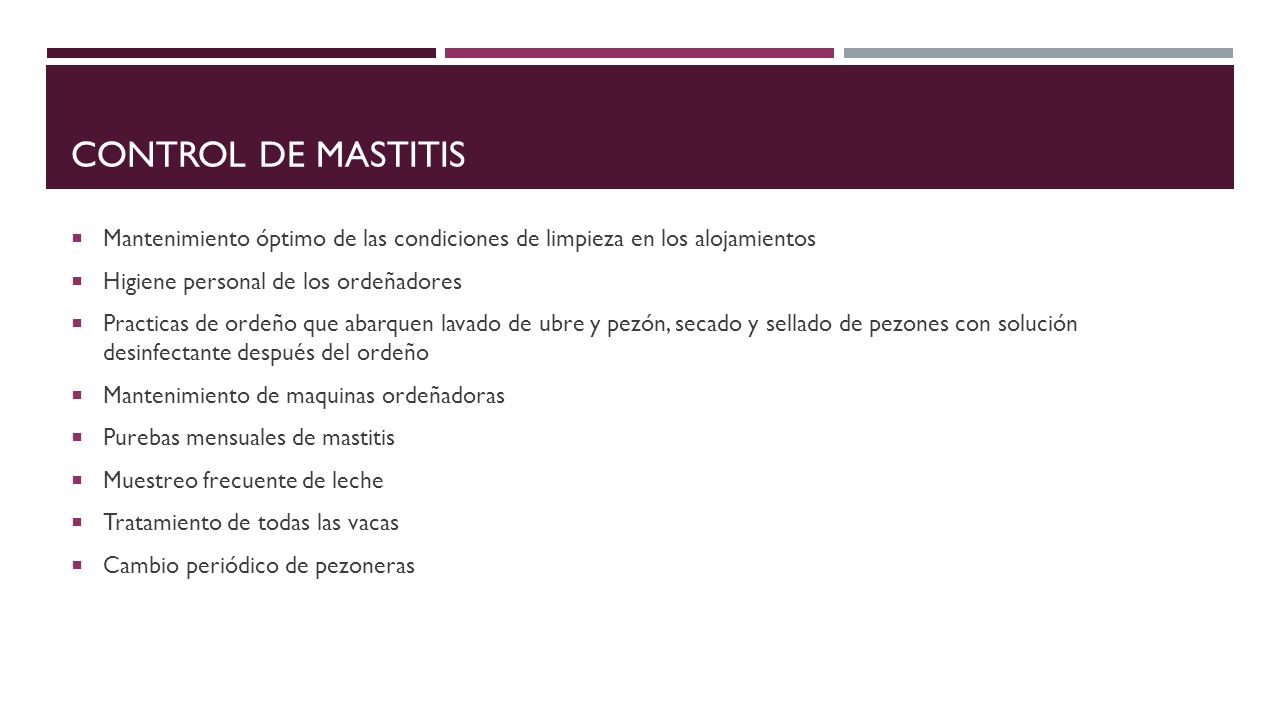 Control de mastitis Mantenimiento óptimo de las condiciones de limpieza en los alojamientos. Higiene personal de los ordeñadores.