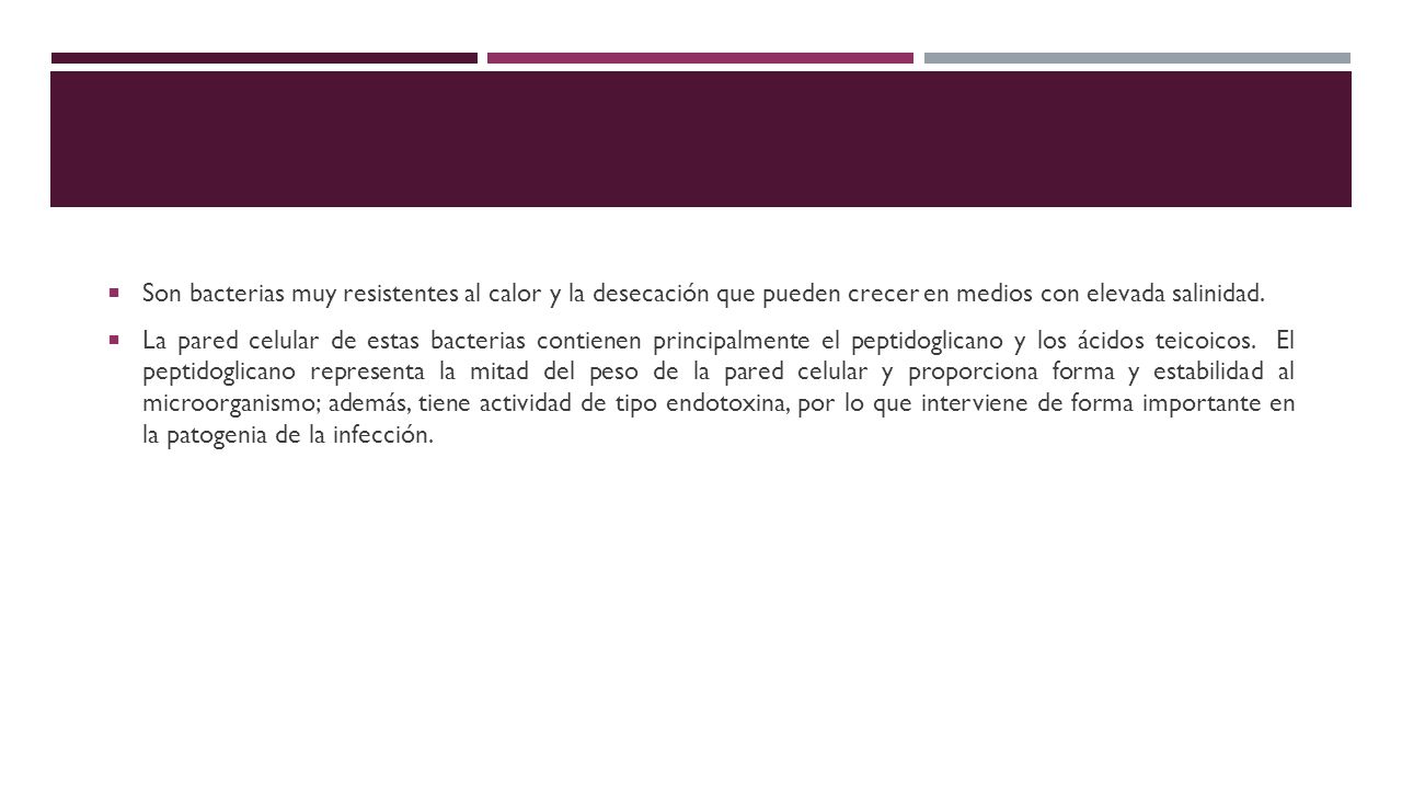 Son bacterias muy resistentes al calor y la desecación que pueden crecer en medios con elevada salinidad.