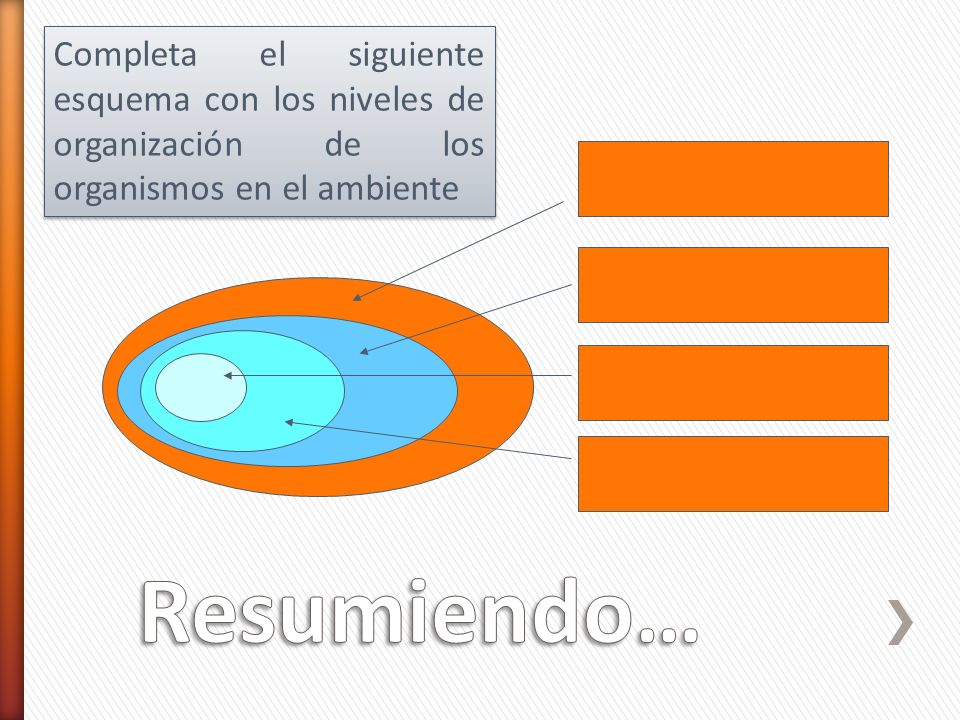 Completa el siguiente esquema con los niveles de organización de los organismos en el ambiente