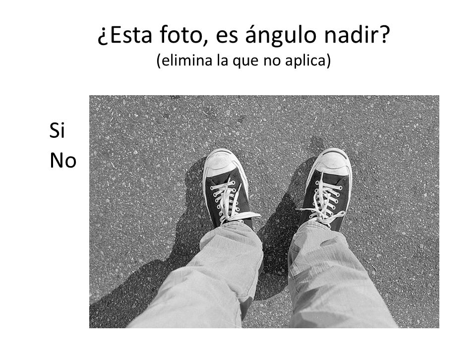 ¿Esta foto, es ángulo nadir (elimina la que no aplica)