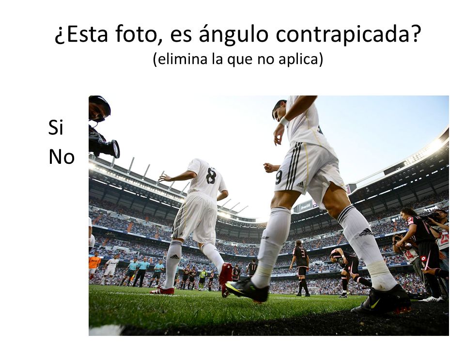 ¿Esta foto, es ángulo contrapicada (elimina la que no aplica)