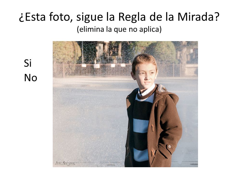 ¿Esta foto, sigue la Regla de la Mirada (elimina la que no aplica)