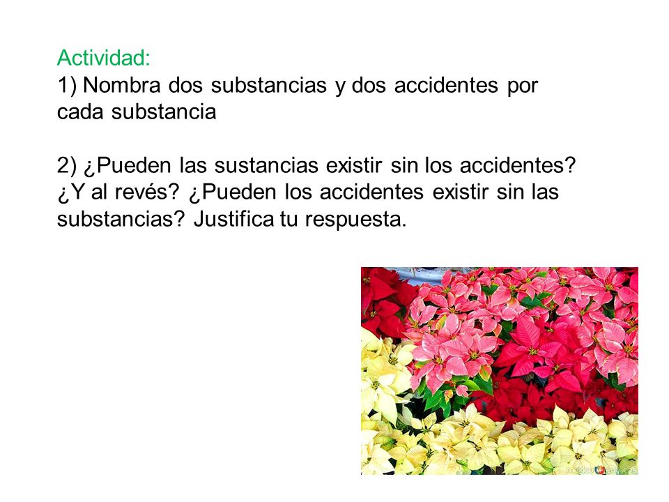Actividad: 1) Nombra dos substancias y dos accidentes por cada substancia.