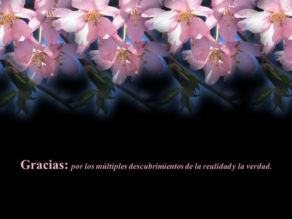Gracias: por los múltiples descubrimientos de la realidad y la verdad.
