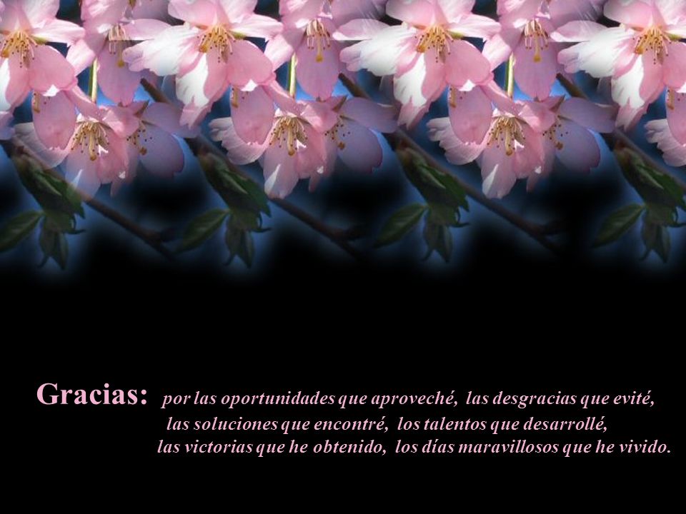 Gracias: por las oportunidades que aproveché, las desgracias que evité,