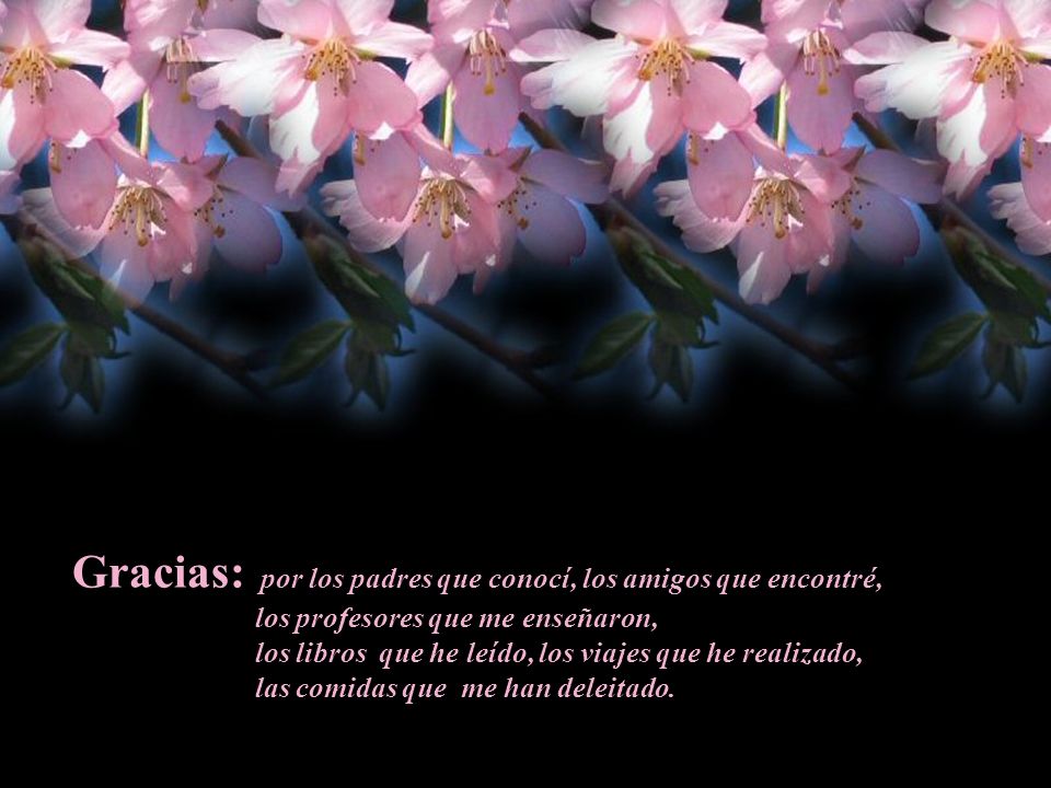 Gracias: por los padres que conocí, los amigos que encontré,