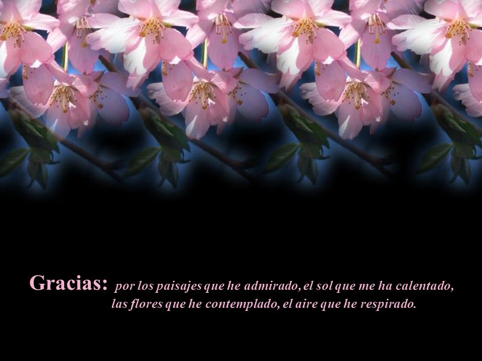 las flores que he contemplado, el aire que he respirado.