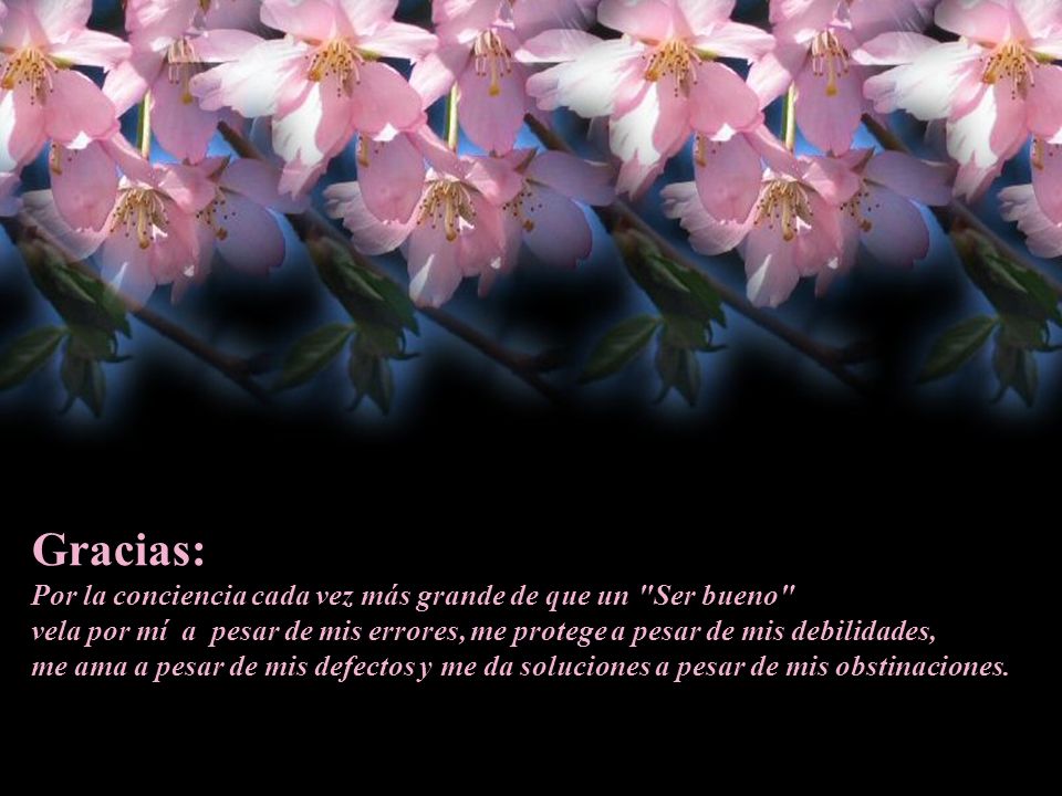 Gracias: Por la conciencia cada vez más grande de que un Ser bueno