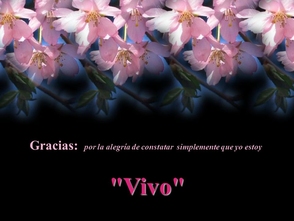 Gracias: por la alegría de constatar simplemente que yo estoy