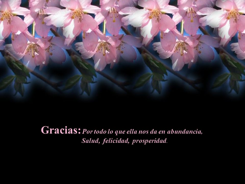 Gracias: Por todo lo que ella nos da en abundancia,