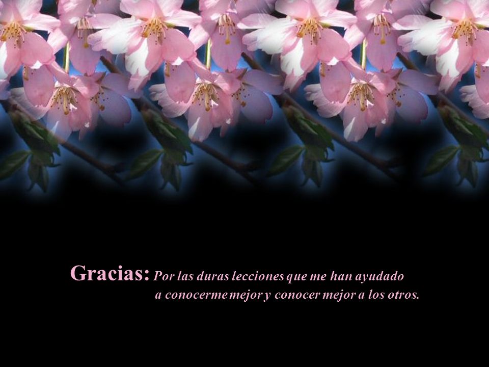 Gracias: Por las duras lecciones que me han ayudado