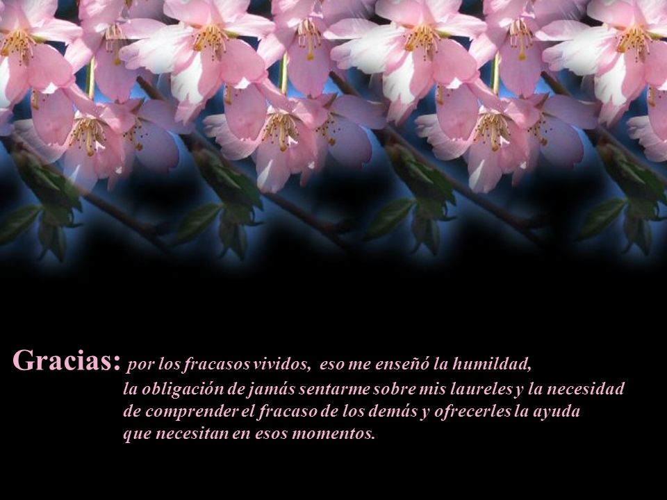 Gracias: por los fracasos vividos, eso me enseñó la humildad,