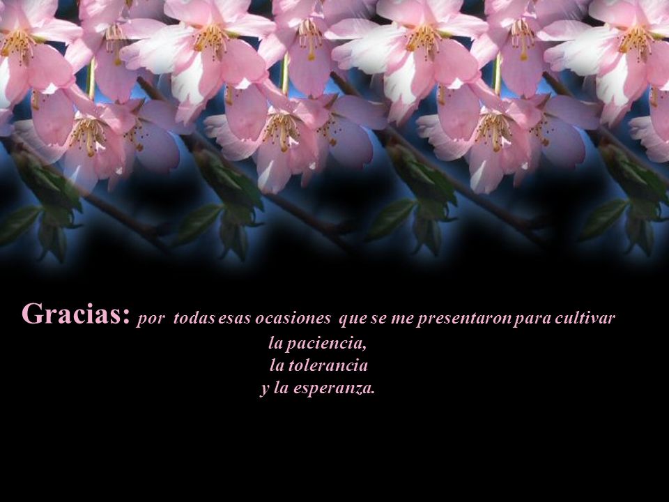 Gracias: por todas esas ocasiones que se me presentaron para cultivar