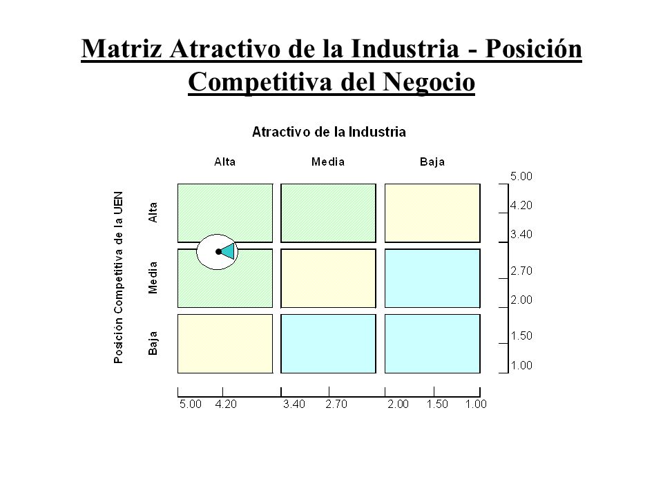 Matriz Atractivo de la Industria - Posición Competitiva del Negocio