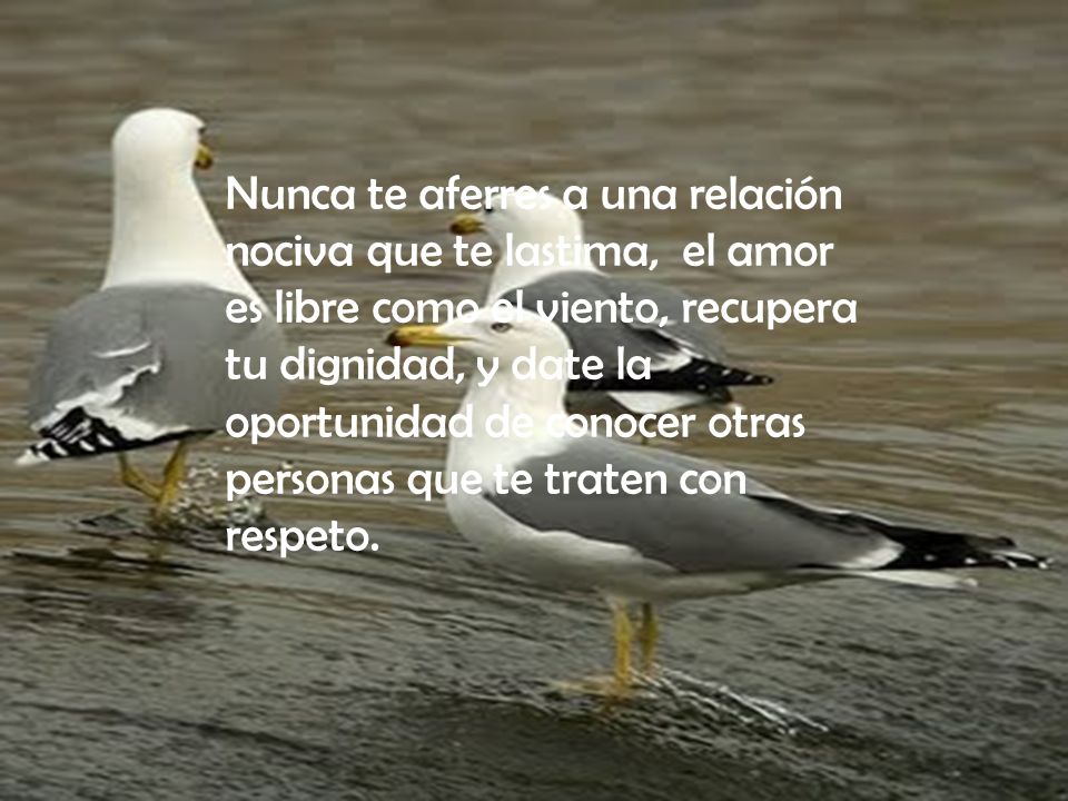 Nunca te aferres a una relación nociva que te lastima, el amor es libre como el viento, recupera tu dignidad, y date la oportunidad de conocer otras personas que te traten con respeto.