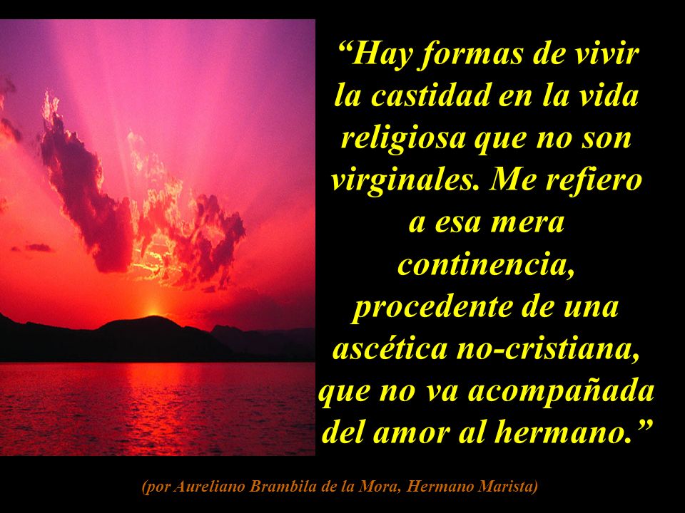 (por Aureliano Brambila de la Mora, Hermano Marista)