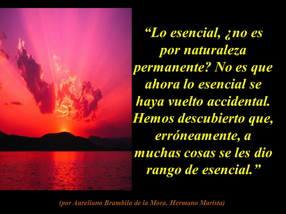 (por Aureliano Brambila de la Mora, Hermano Marista)