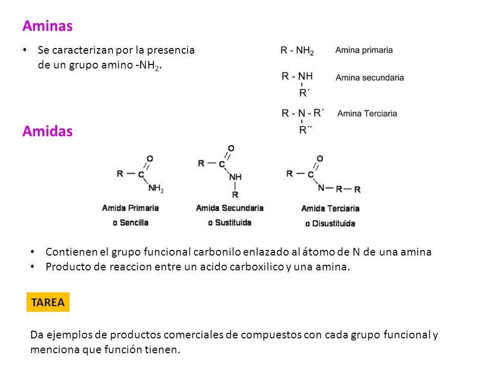 Aminas Amidas Se caracterizan por la presencia de un grupo amino -NH2.