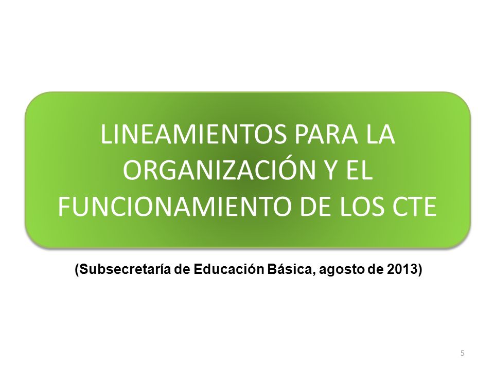 LINEAMIENTOS PARA LA ORGANIZACIÓN Y EL FUNCIONAMIENTO DE LOS CTE