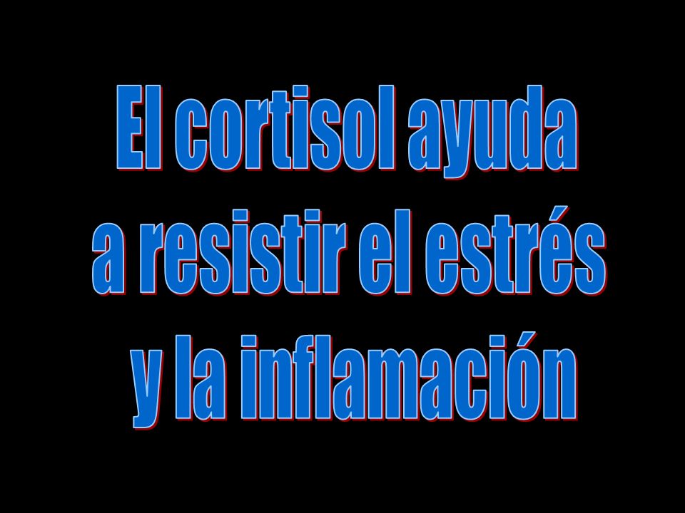 El cortisol ayuda a resistir el estrés y la inflamación