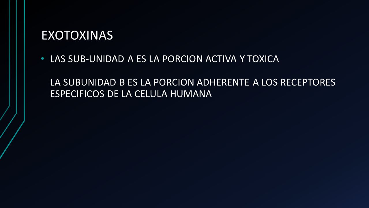 EXOTOXINAS LAS SUB-UNIDAD A ES LA PORCION ACTIVA Y TOXICA LA SUBUNIDAD B ES LA PORCION ADHERENTE A LOS RECEPTORES ESPECIFICOS DE LA CELULA HUMANA.