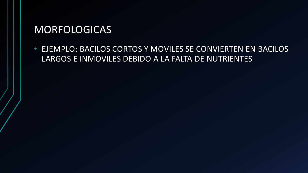 MORFOLOGICAS EJEMPLO: BACILOS CORTOS Y MOVILES SE CONVIERTEN EN BACILOS LARGOS E INMOVILES DEBIDO A LA FALTA DE NUTRIENTES.