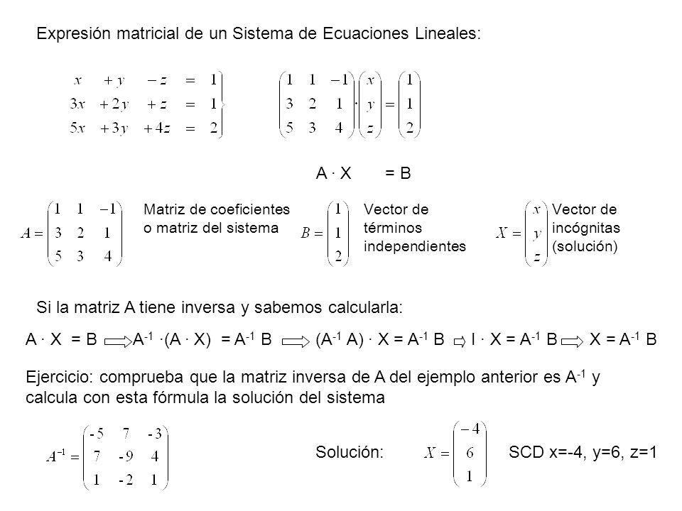 Expresión matricial de un Sistema de Ecuaciones Lineales: