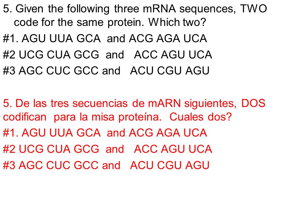 5. Given the following three mRNA sequences, TWO code for the same protein. Which two