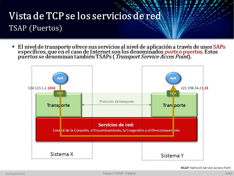 Vista de TCP se los servicios de red TSAP (Puertos)