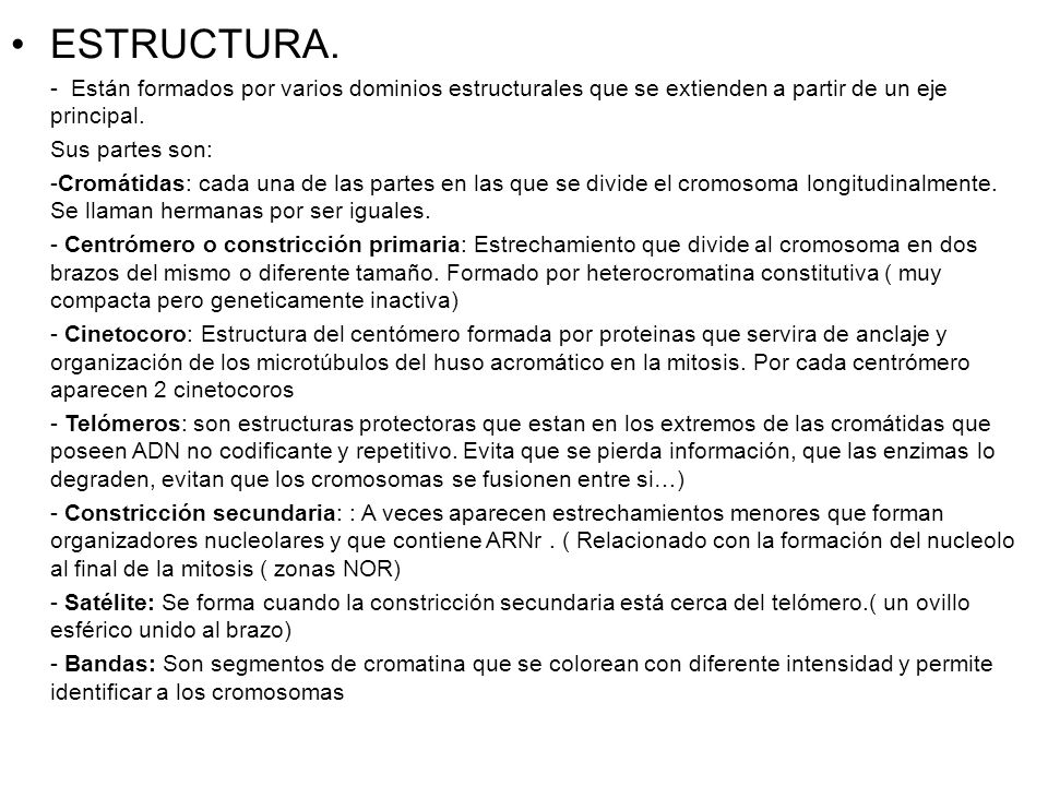 ESTRUCTURA. - Están formados por varios dominios estructurales que se extienden a partir de un eje principal.