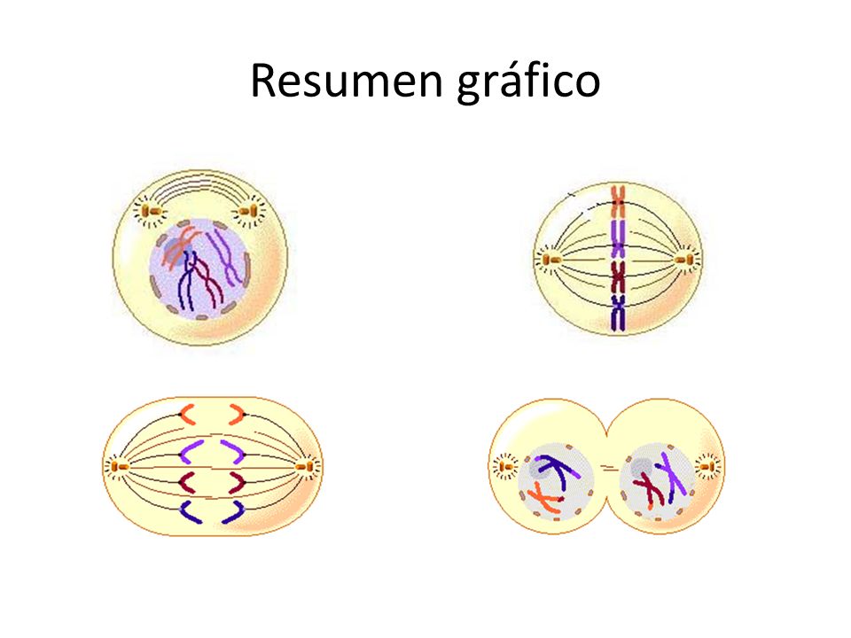 Resumen gráfico
