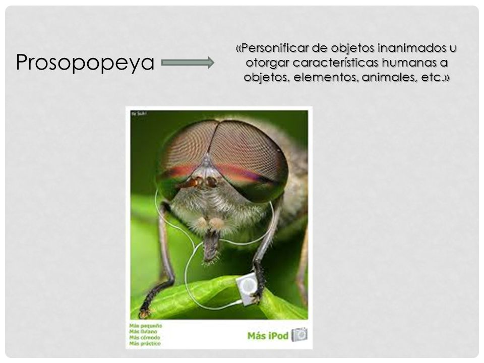 «Personificar de objetos inanimados u otorgar características humanas a objetos, elementos, animales, etc.»