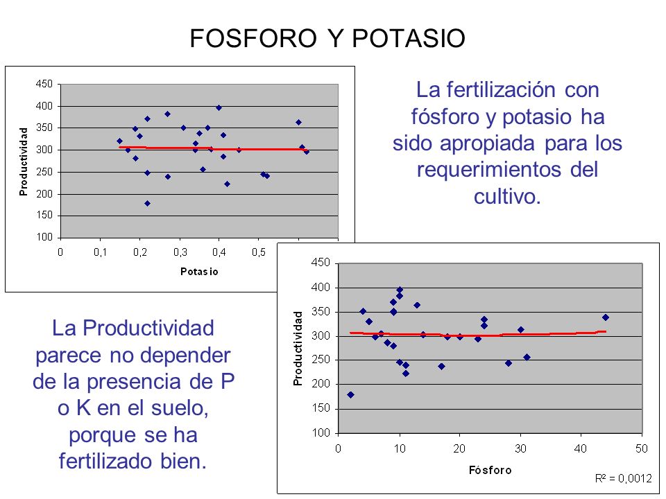 FOSFORO Y POTASIO La fertilización con fósforo y potasio ha sido apropiada para los requerimientos del cultivo.
