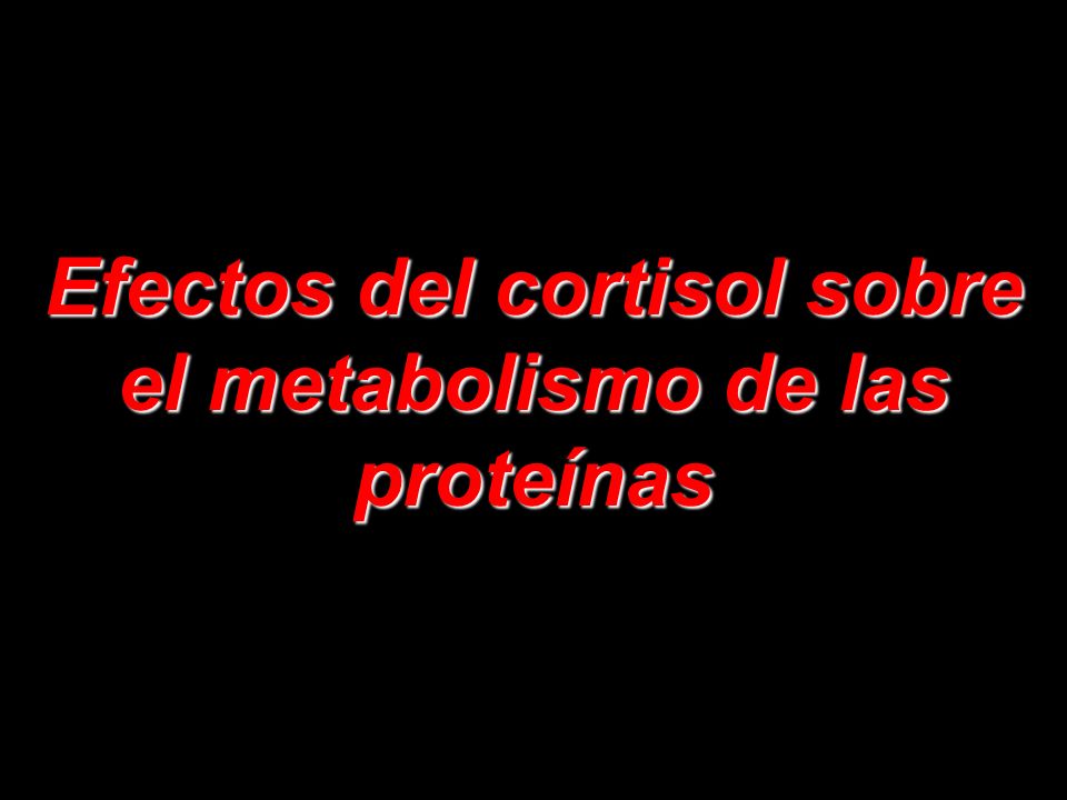 Efectos del cortisol sobre el metabolismo de las proteínas