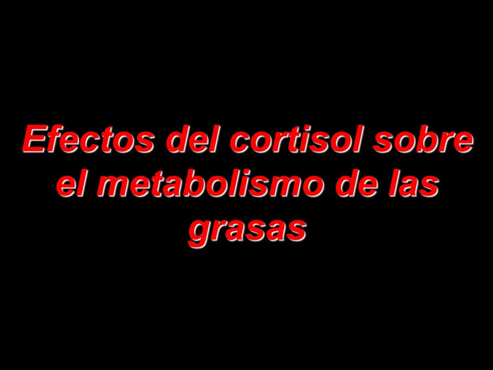 Efectos del cortisol sobre el metabolismo de las grasas