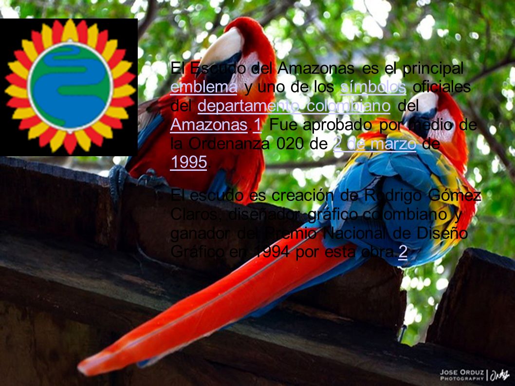 El Escudo del Amazonas es el principal emblema y uno de los símbolos oficiales del departamento colombiano del Amazonas.1 Fue aprobado por medio de la Ordenanza 020 de 2 de marzo de 1995.