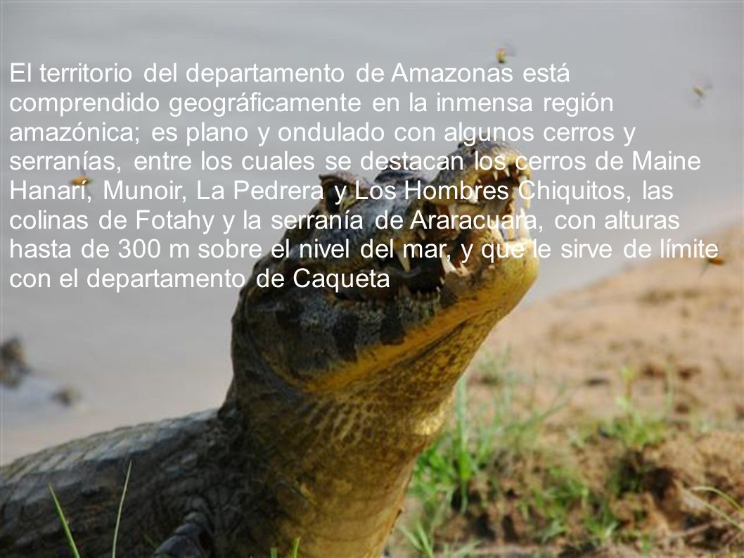 El territorio del departamento de Amazonas está comprendido geográficamente en la inmensa región amazónica; es plano y ondulado con algunos cerros y serranías, entre los cuales se destacan los cerros de Maine Hanarí, Munoir, La Pedrera y Los Hombres Chiquitos, las colinas de Fotahy y la serranía de Araracuara, con alturas hasta de 300 m sobre el nivel del mar, y que le sirve de límite con el departamento de Caqueta