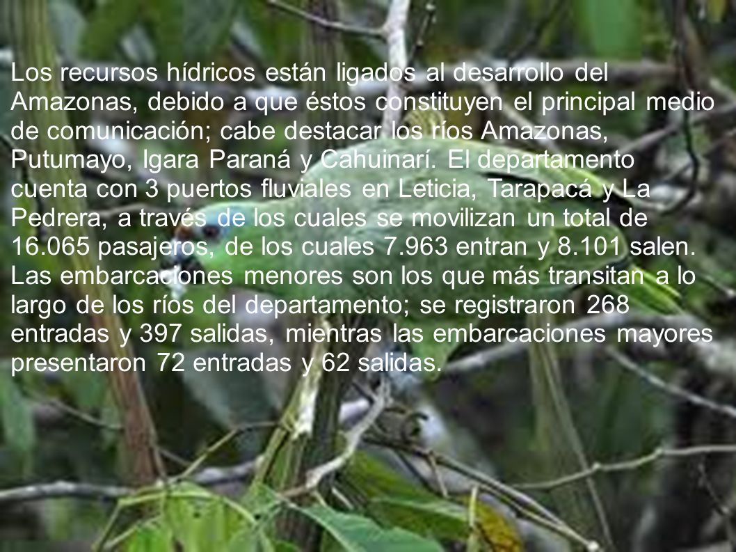 Los recursos hídricos están ligados al desarrollo del Amazonas, debido a que éstos constituyen el principal medio de comunicación; cabe destacar los ríos Amazonas, Putumayo, Igara Paraná y Cahuinarí. El departamento cuenta con 3 puertos fluviales en Leticia, Tarapacá y La Pedrera, a través de los cuales se movilizan un total de pasajeros, de los cuales entran y salen. Las embarcaciones menores son los que más transitan a lo largo de los ríos del departamento; se registraron 268 entradas y 397 salidas, mientras las embarcaciones mayores presentaron 72 entradas y 62 salidas.