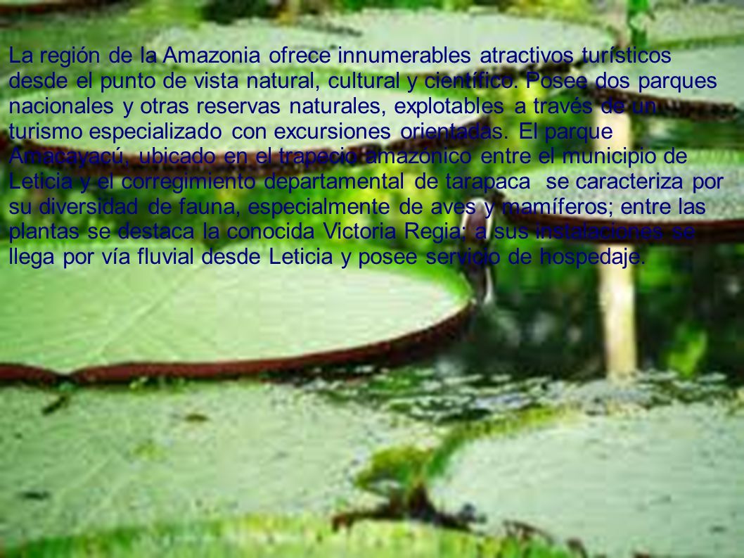 La región de la Amazonia ofrece innumerables atractivos turísticos desde el punto de vista natural, cultural y científico. Posee dos parques nacionales y otras reservas naturales, explotables a través de un turismo especializado con excursiones orientadas. El parque Amacayacú, ubicado en el trapecio amazónico entre el municipio de Leticia y el corregimiento departamental de tarapaca se caracteriza por su diversidad de fauna, especialmente de aves y mamíferos; entre las plantas se destaca la conocida Victoria Regia; a sus instalaciones se llega por vía fluvial desde Leticia y posee servicio de hospedaje.