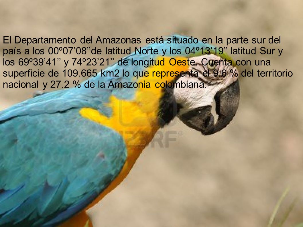 El Departamento del Amazonas está situado en la parte sur del país a los 00º07’08’’de latitud Norte y los 04º13’19’’ latitud Sur y los 69º39’41’’ y 74º23’21’’ de longitud Oeste.