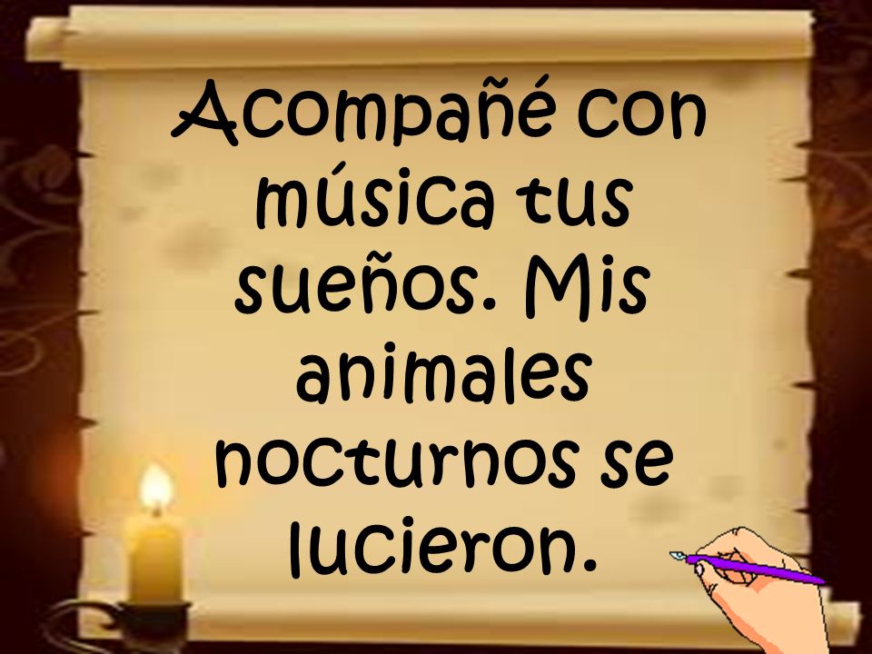 Acompañé con música tus sueños. Mis animales nocturnos se lucieron.