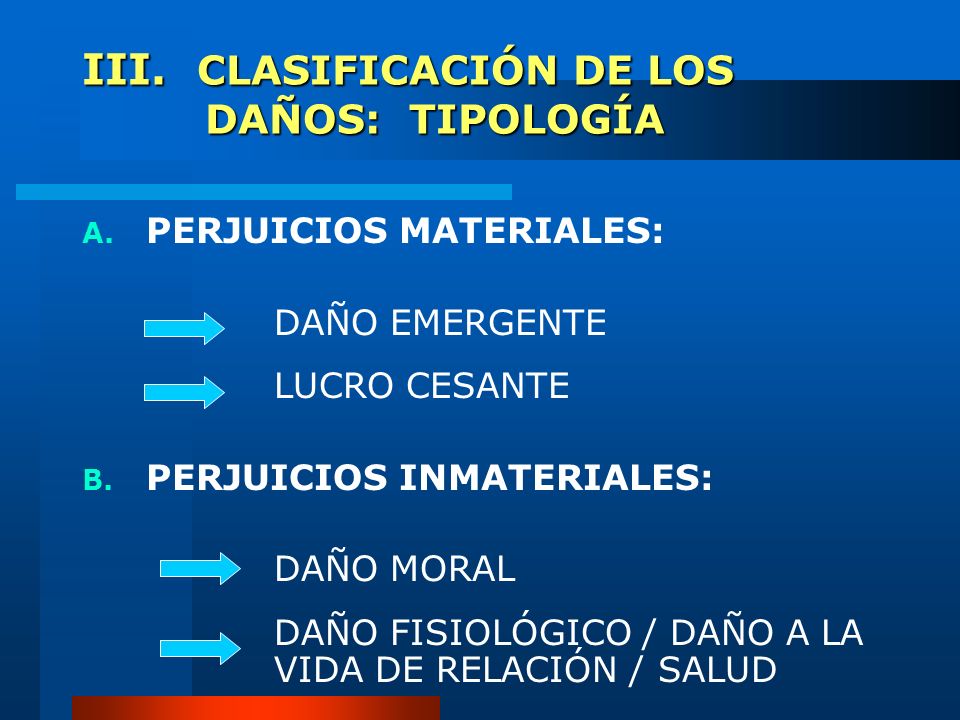 III. CLASIFICACIÓN DE LOS DAÑOS: TIPOLOGÍA